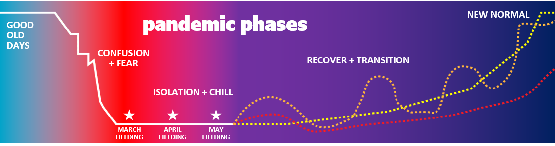 Pandemic phases: good old days, confusion and fear, isolation and chill, recover and transition, new normal.