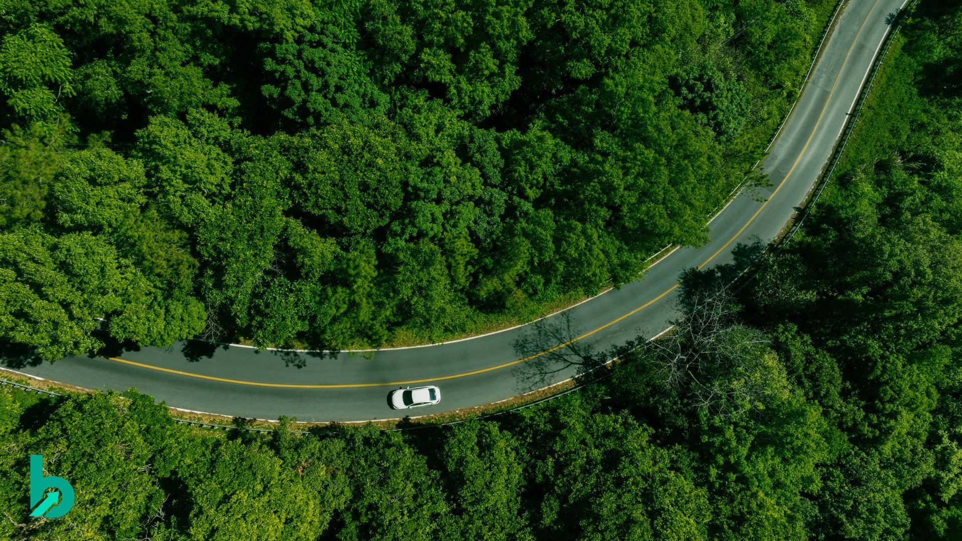 A winding road weaving through a forest from above, representing the evolving and strategic path toward modern, continuous brand research.