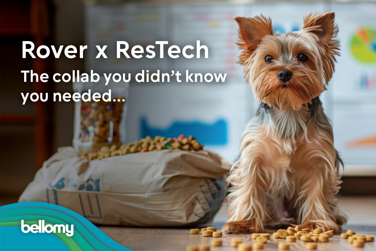 A Yorkshire Terrier stares directly ahead, accompanied by the text, "Rover x ResTech: The collab you didn't know you needed ..." 